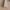 Parketiliist tamm 16x40 valge lakk