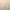 Bleached Cuneo Oak H3311 TM28 - Javicar