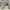 Melamiinplaat mööbliplaat tolmuhall EGGER Basic Dust Grey U732 ST9 - Javicar
