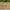 Aialipid Board fence - Javicar