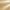 Ristkihtliimpuit CLT cross laminated timber