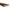 Terrassilaud PHL 28×145 mm immutatud GROOVED, pruun - Javicar