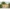 Aiamaja Broadway Insel Woodhouse - Javicar