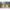 Aiamaja Colyton 44mm Insel Woodhouse - Javicar