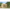 Modernne puidust aiamaja Sheree Modern Insel Woodhouse - Javicar
