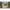 Puidust kiosk Mimosa 5.45 m² 300x200 cm 16 mm naturaalne Insel Woodhouse - Javicar