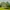 Mängumaja Lola terrassiga - Insel Woodhouse - Javicar